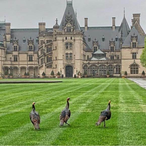 Meet your Posher, Kim - Picture 2 of 16